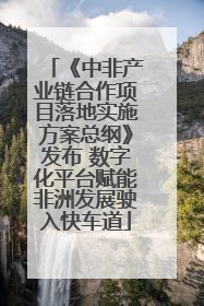 《中非产业链合作项目落地实施方案总纲》发布 数字化平台赋能非洲发展驶入快车道