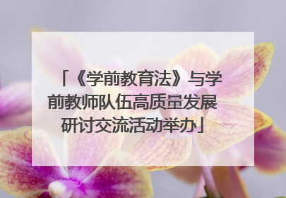 《学前教育法》与学前教师队伍高质量发展研讨交流活动举办