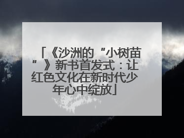 《沙洲的“小树苗”》新书首发式：让红色文化在新时代少年心中绽放
