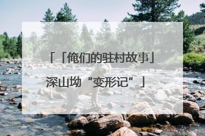 「俺们的驻村故事」深山坳“变形记”