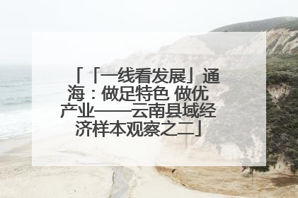 「一线看发展」通海：做足特色 做优产业——云南县域经济样本观察之二