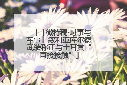 「微特稿·时事与军事」叙利亚库尔德武装称正与土耳其“直接接触”