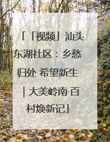 「视频」汕头东湖社区：乡愁归处 希望新生｜大美岭南·百村焕新记
