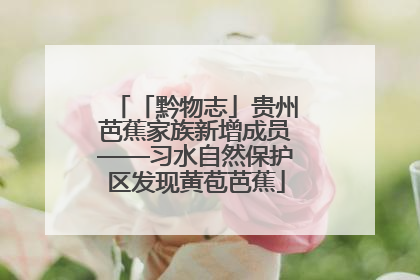 「黔物志」贵州芭蕉家族新增成员——习水自然保护区发现黄苞芭蕉