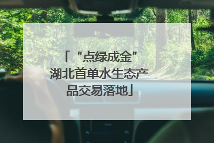 “点绿成金” 湖北首单水生态产品交易落地