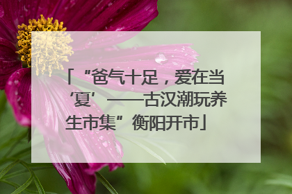 “爸气十足，爱在当‘夏’——古汉潮玩养生市集”衡阳开市