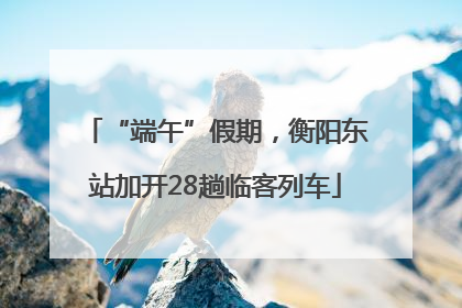 “端午”假期，衡阳东站加开28趟临客列车