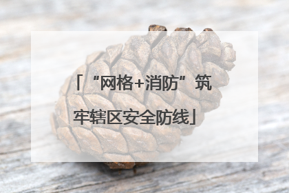 “网格+消防”筑牢辖区安全防线