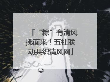 “粽”有清风拂面来！五社联动共织清风网