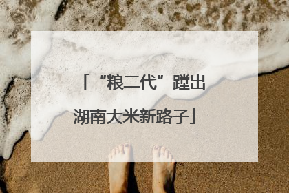 “粮二代”蹚出湖南大米新路子