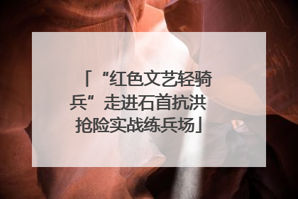 “红色文艺轻骑兵”走进石首抗洪抢险实战练兵场