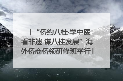 “侨约八桂·学中医 看非遗 谋八桂发展”海外侨商侨领研修班举行