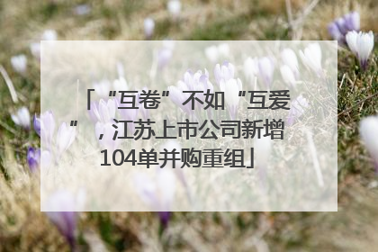 “互卷”不如“互爱”，江苏上市公司新增104单并购重组