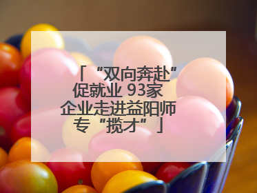 “双向奔赴”促就业 93家企业走进益阳师专“揽才”