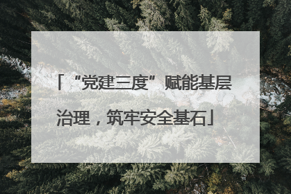 “党建三度”赋能基层治理，筑牢安全基石
