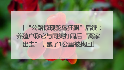 “公路惊现鸵鸟狂飙”后续：养殖户称它与同类打闹后“离家出走”，跑了1公里被找回