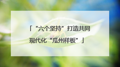 “六个坚持”打造共同现代化“瓜州样板”
