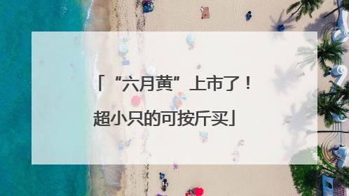“六月黄”上市了！超小只的可按斤买