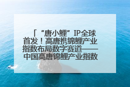 “唐小鲤”IP全球首发！高唐携锦鲤产业指数布局数字赛道——中国高唐锦鲤产业指数暨“唐小鲤”IP全球首发仪式在杭州举行