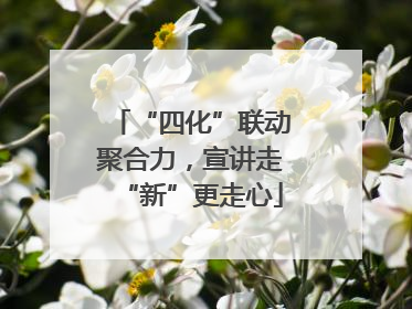 “四化”联动聚合力，宣讲走“新”更走心