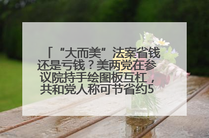 “大而美”法案省钱还是亏钱？美两党在参议院持手绘图板互杠，共和党人称可节省约5000亿美元，民主党人称将增加4.45万亿美元赤字