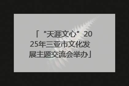 “天涯文心”2025年三亚市文化发展主题交流会举办