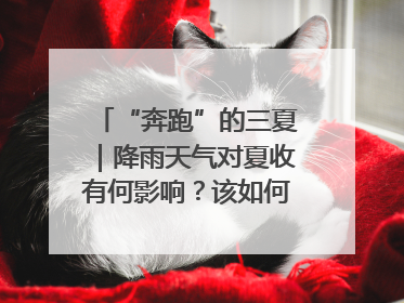 “奔跑”的三夏｜降雨天气对夏收有何影响？该如何防范？一文了解