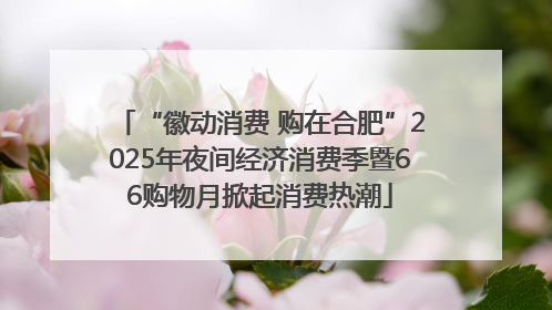 “徽动消费 购在合肥”2025年夜间经济消费季暨66购物月掀起消费热潮