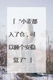 “小麦都入了仓，可以睡个安稳觉了”
