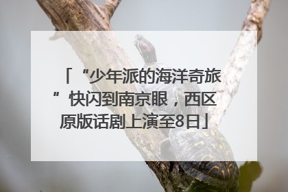 “少年派的海洋奇旅”快闪到南京眼，西区原版话剧上演至8日