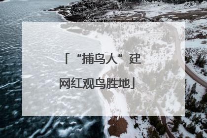 “捕鸟人”建网红观鸟胜地