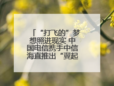 “打飞的”梦想照进现实 中国电信携手中信海直推出“翼起飞”空中旅游