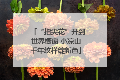 “指尖花”开到世界橱窗 小凉山千年纹样绽新色