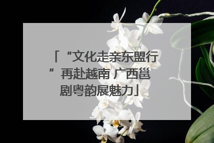 “文化走亲东盟行”再赴越南 广西邕剧粤韵展魅力