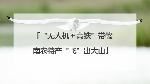 “无人机＋高铁”带赣南农特产“飞”出大山