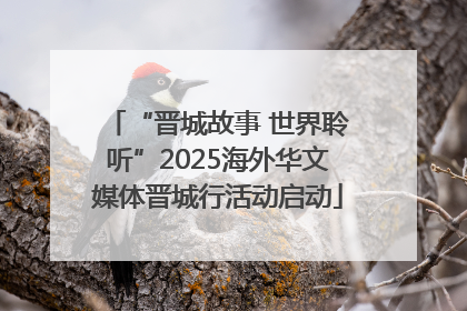 “晋城故事 世界聆听”2025海外华文媒体晋城行活动启动
