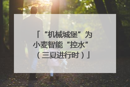 “机械城堡”为小麦智能“控水”（三夏进行时）