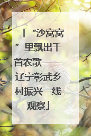 “沙窝窝”里飘出千首农歌——辽宁彰武乡村振兴一线观察
