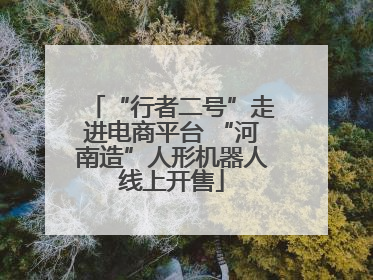 “行者二号”走进电商平台 “河南造”人形机器人线上开售