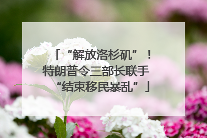 “解放洛杉矶”！特朗普令三部长联手“结束移民暴乱”