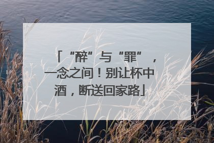 “醉”与“罪”，一念之间！别让杯中酒，断送回家路