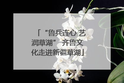 “鲁兵连心 艺润草湖” 齐鲁文化走进新疆草湖