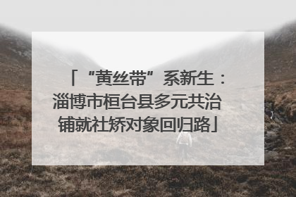 “黄丝带”系新生：淄博市桓台县多元共治铺就社矫对象回归路