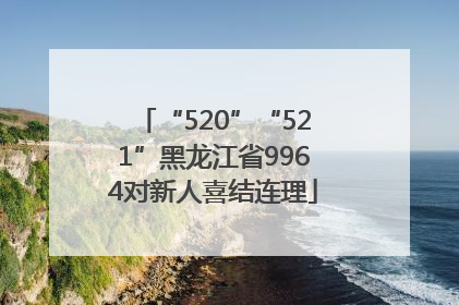 “520”“521”黑龙江省9964对新人喜结连理