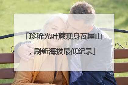 珍稀光叶蕨现身瓦屋山，刷新海拔最低纪录