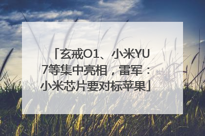 玄戒O1、小米YU7等集中亮相，雷军：小米芯片要对标苹果