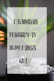 玉塘街道开展端午节系列主题活动