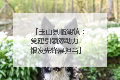 玉山县临湖镇：党建引领添助力 银发先锋展担当