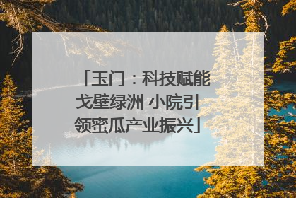 玉门：科技赋能戈壁绿洲 小院引领蜜瓜产业振兴