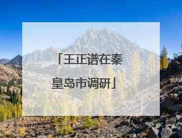 王正谱在秦皇岛市调研